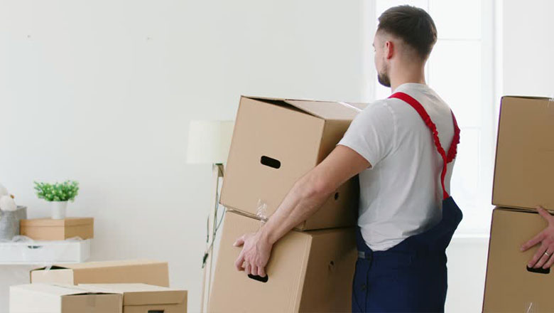 Almanya Uluslararası Ev Taşımacılığı